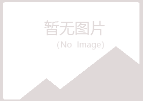 鹤岗兴山以寒金融有限公司